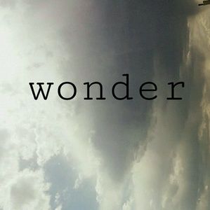 Meet your Posher, Payton